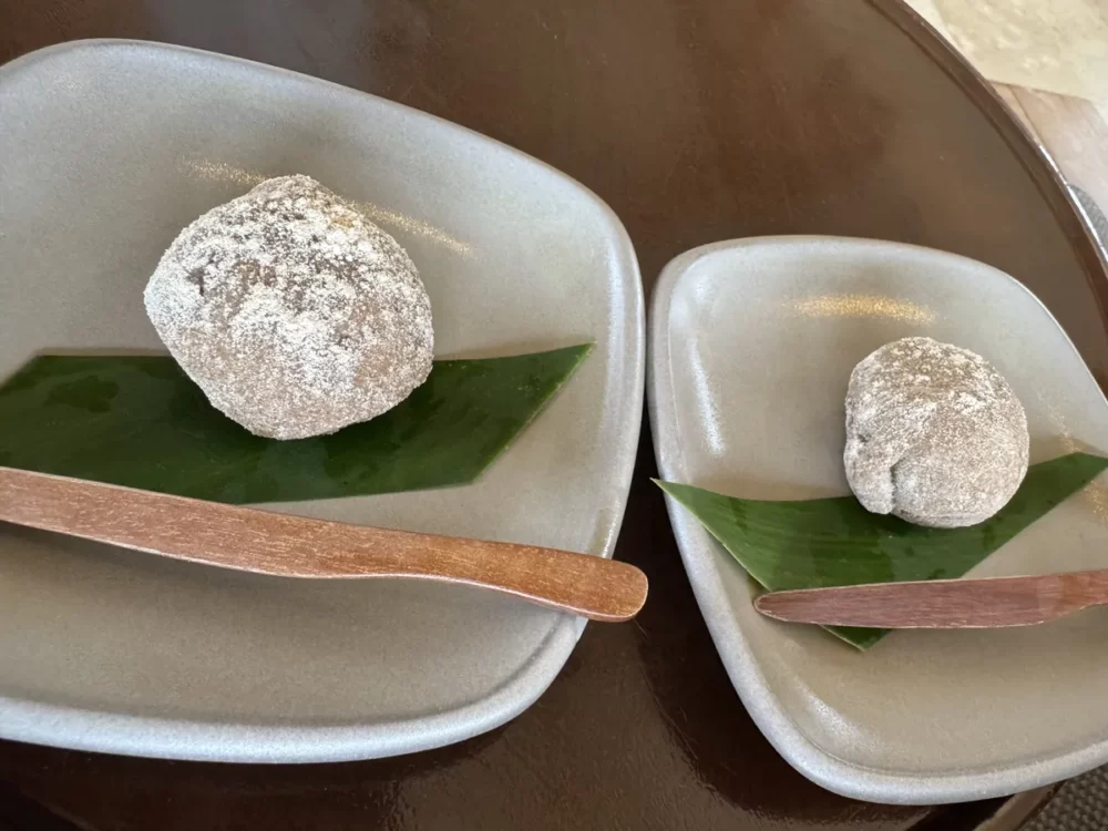 敷地中央に広がるインフィニティプール