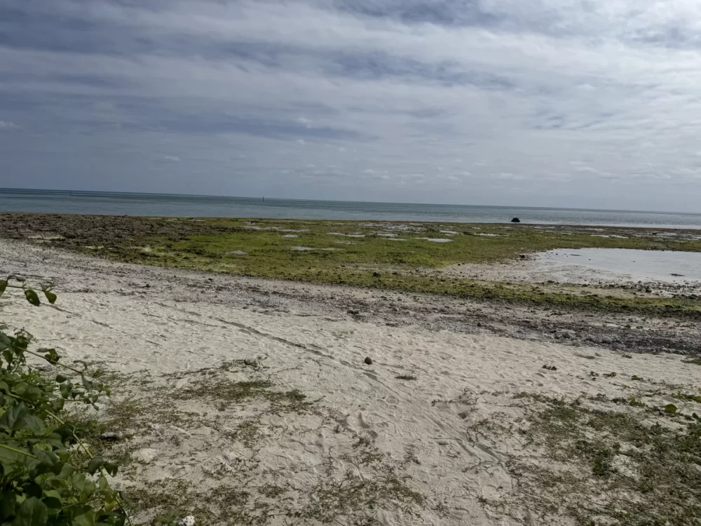 コンドイ浜の遠浅の海