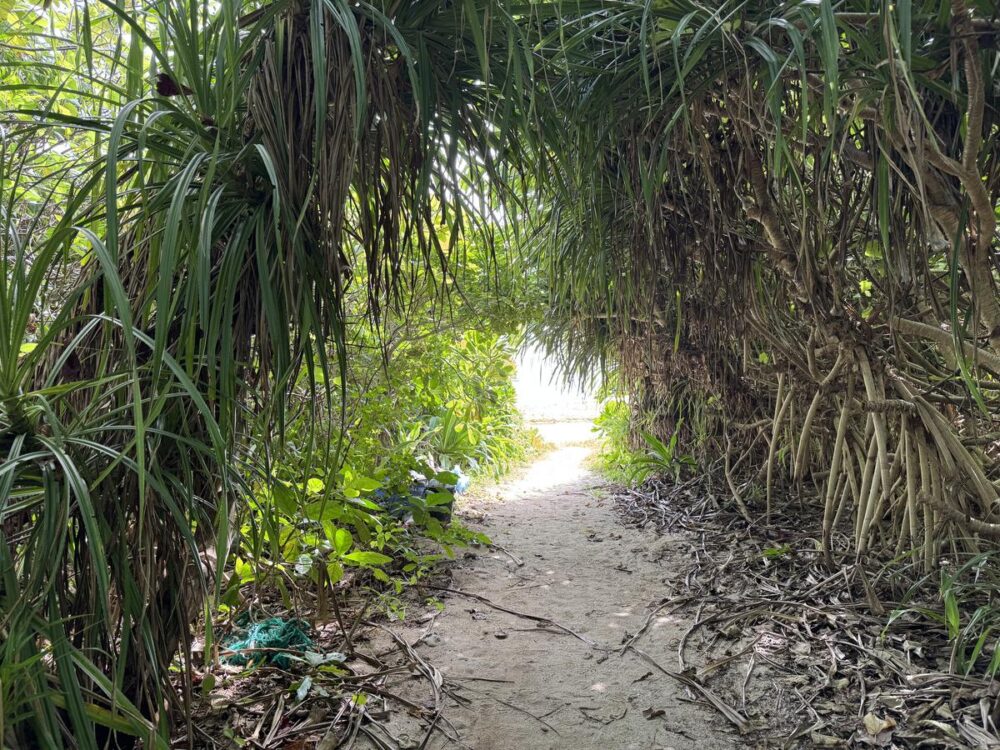 白砂が広がる海岸線
