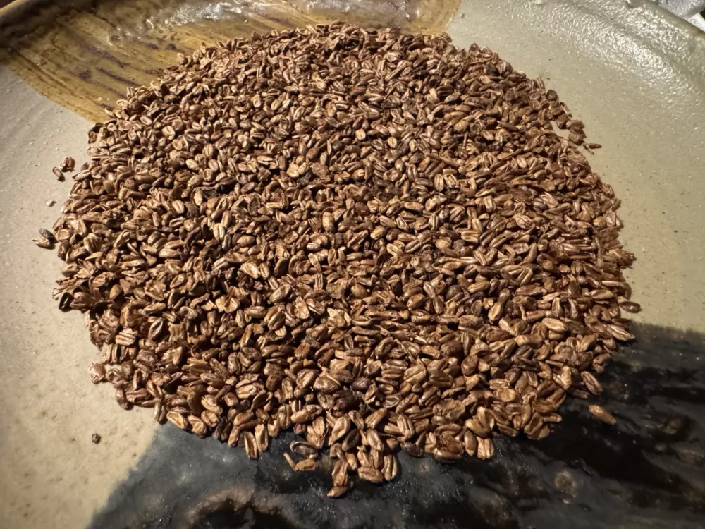 シマヒデキの魚料理