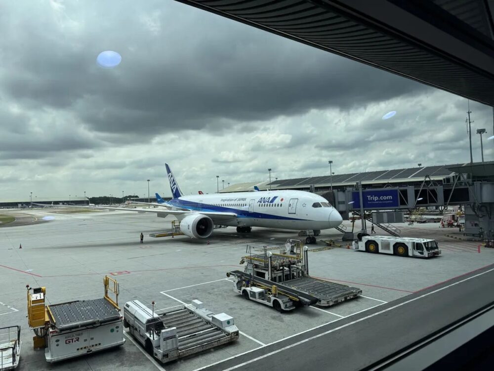 サテライトGate C2に駐機するANA Inspiration of JAPAN塗装機体、ボーディングブリッジ接続中
