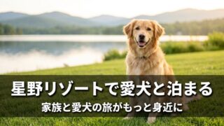 湖畔の芝生に座る笑顔のゴールデンレトリバーと、星野リゾートで愛犬と泊まるの見出し